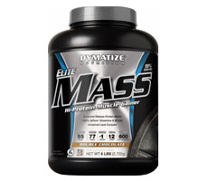 #6 Best Mass Gainer Protein - Dymatise Elite Mass Hi Protein Muscle Gainer Container